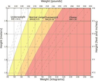 Bmi Chart