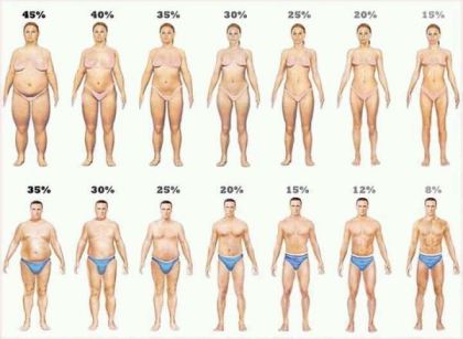 Body Fat Percentage Women
