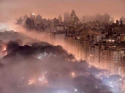 Central Park New York City Fog