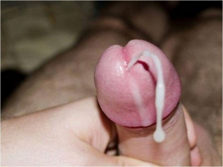 Cocks Shooting Cum