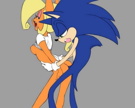 Coco Bandicoot And Sonic Porn