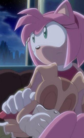Cream And Amy Rose Sonic X