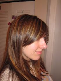 Dark Brown Hair With Highlights