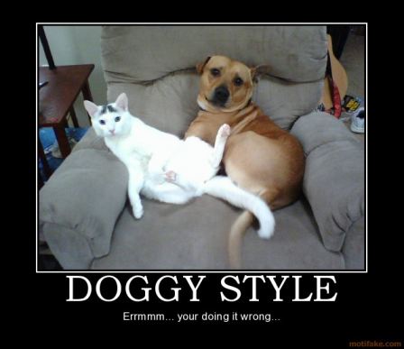 Doggystyle Your Doing It Wrong