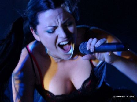 Evanescence Amy Lee Hot