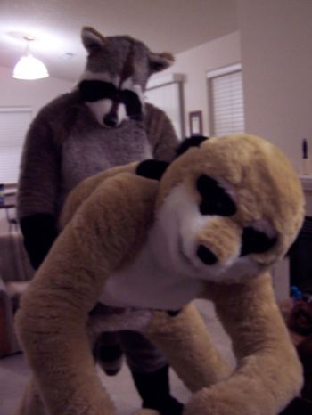 Gay Fursuit Sex Porn