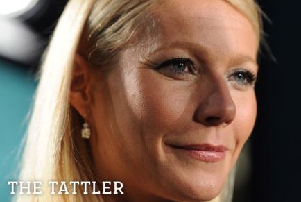 Gwyneth Paltrow Porn
