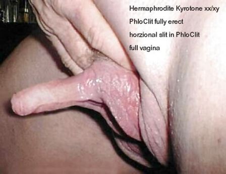 Hermaphrodite Huge Clit