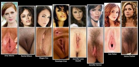 Celebrity Pussy Yearbook