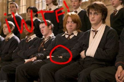 Harry Potter And Ron Gay