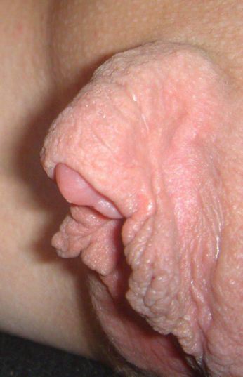 Big Clit Tumblr