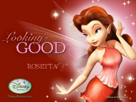 Disney Fairy Rosetta