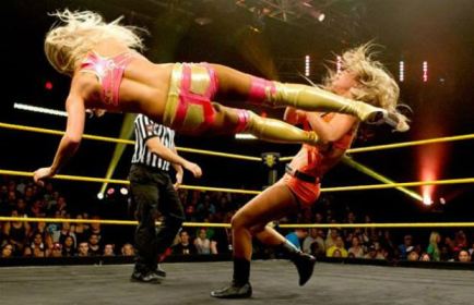 bing images wwe nikki bella hot