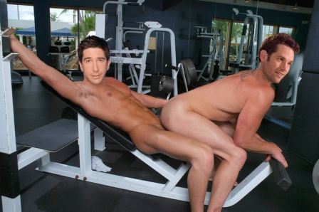 david schwimmer gay fakes naked