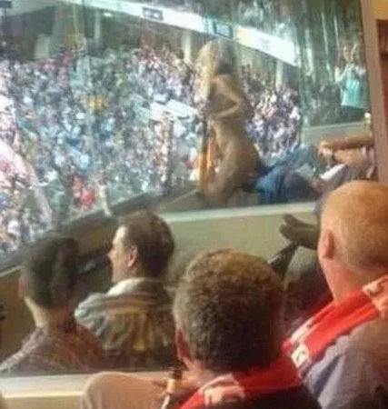 heather mccartney at afl naked